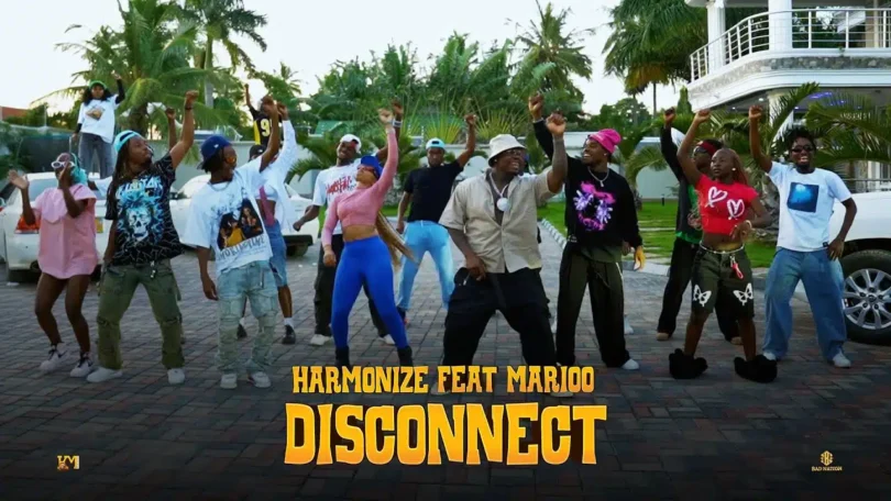 MP4 DOWNLOAD Harmonize Ft Marioo – Disconnect