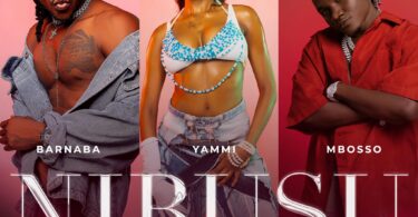 MP3 DOWNLOAD Barnaba Ft Mbosso & Yammi - Nibusu