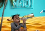 MP3 DOWNLOAD Lava Lava - Maji