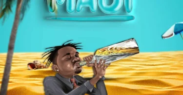 MP3 DOWNLOAD Lava Lava - Maji