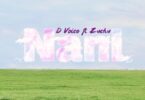 MP3 DOWNLOAD D Voice Ft Zuchu - Nani