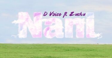 MP3 DOWNLOAD D Voice Ft Zuchu - Nani