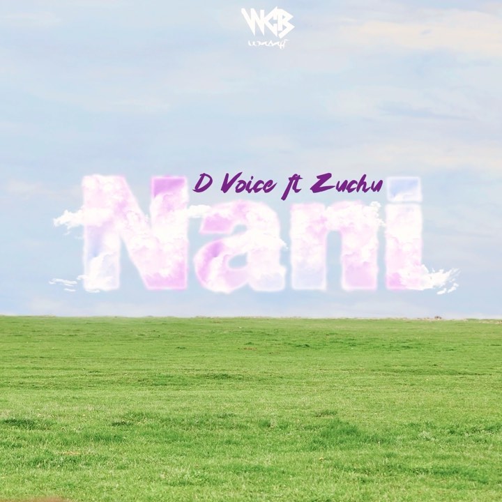 MP3 DOWNLOAD D Voice Ft Zuchu - Nani