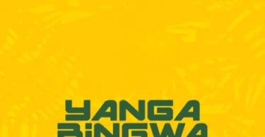 MP3 DOWNLOAD Harmonize - Yanga Bingwa