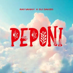 MP3 DOWNLOAD Rayvanny ft DJ Davizo – Peponi