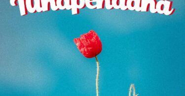 D Voice Ft Mbosso – Tunapendana Lyrics