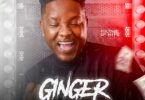 MP3 DOWNLOAD Voltage Of Hype - Ginger Your Self