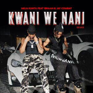 MP3 DOWNLOAD Meja Kunta Ft Ibraah & Jay Combat - Kwani We Nani Remix