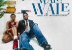 MP3 DOWNLOAD Zuchu ft Diamond Platnumz - Wale Wale