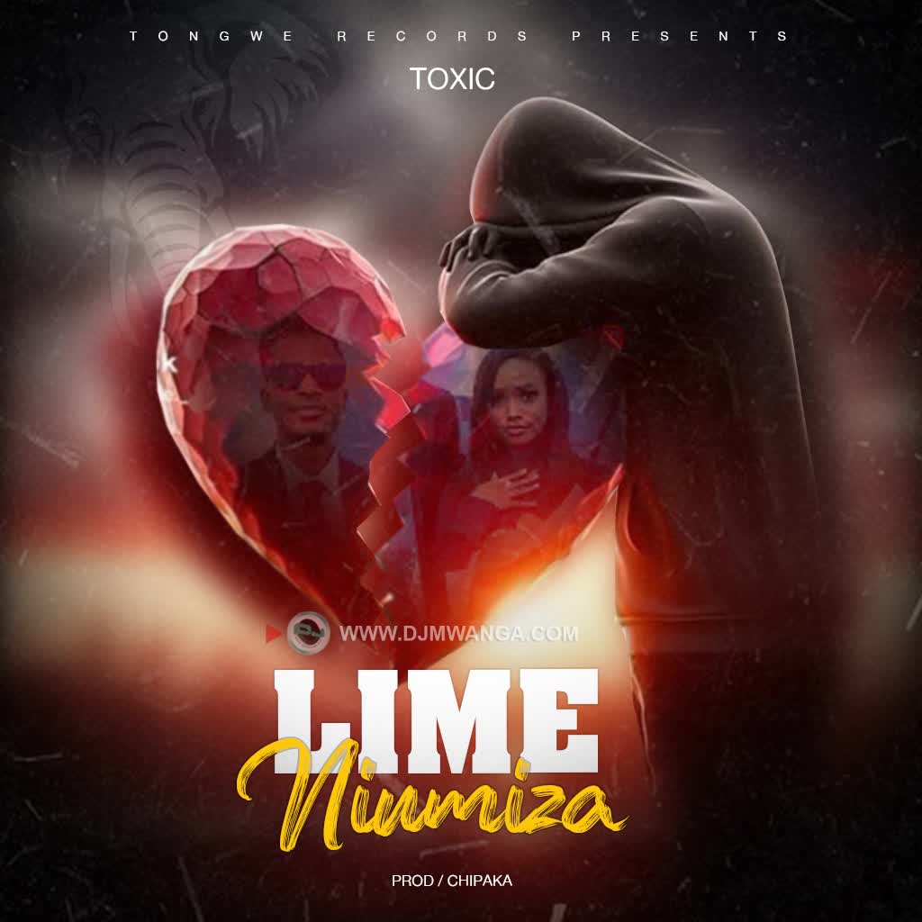 MP3 DOWNLOAD Toxic - Limeniumiza