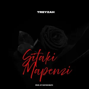 MP3 DOWNLOAD Treyzah - Sitaki Mapenzi
