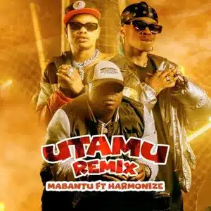 Mabantu Ft Hamonize – Utamu Remix Lyrics