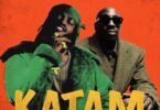 MP3 DOWNLOAD Diamond Platnumz Ft Bien - Katam
