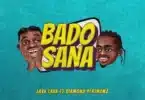 MP3 DOWNLOAD Lava Lava Ft Diamond Platnumz – Bado Sana