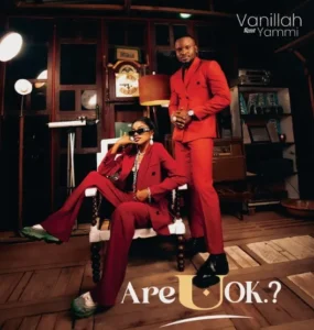 MP3 DOWNLOAD Vanillah Ft Yammi - Are u Ok.?
