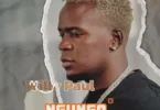 MP3 DOWNLOAD Willy Paul - Ngunga