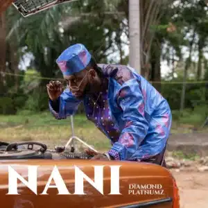 MP3 DOWNLOAD Diamond Platnumz – Nani