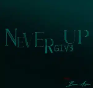 MP3 DOWNLOAD Bruce Africa - Never Give Up