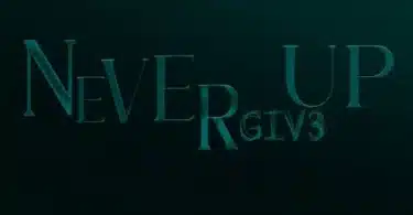 MP3 DOWNLOAD Bruce Africa - Never Give Up