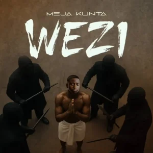 MP3 DOWNLOAD Meja Kunta Ft Lava Lava - Wezi