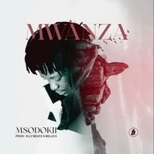 MP3 DOWNLOAD Msodoki Young Killer – Mwanza