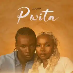 MP3 DOWNLOAD Zuchu - Pwita