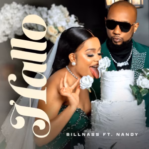 MP3 DOWNLOAD Billnass Ft Nandy - Hallo