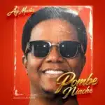 MP3 DOWNLOAD AY Masta - Pombe Niache