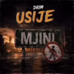 MP3 DOWNLOAD Drim Boy - Usije Mjini