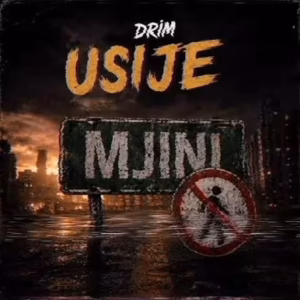 MP3 DOWNLOAD Drim Boy - Usije Mjini
