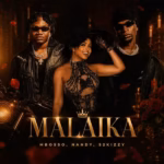 MP3 DOWNLOAD Mbosso Ft Nandy & S2kizzy - Malaika