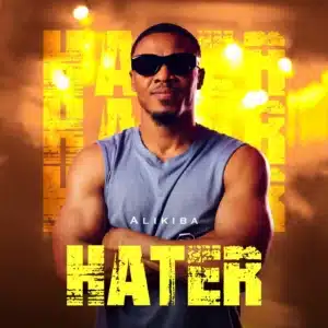 MP3 DOWNLOAD Alikiba - Hater
