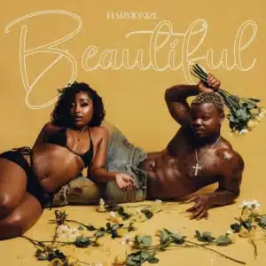 MP3 DOWNLOAD Harmonize - Beautiful