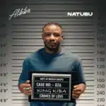 MP3 DOWNLOAD Alikiba - Natubu