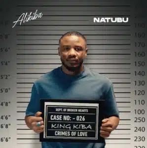 MP3 DOWNLOAD Alikiba - Natubu
