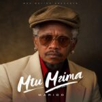 MP3 DOWNLOAD Marioo - Mtu Mzima